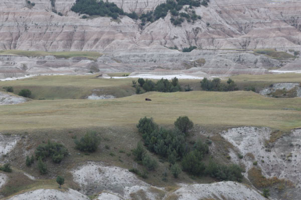 djl_20140829_4645