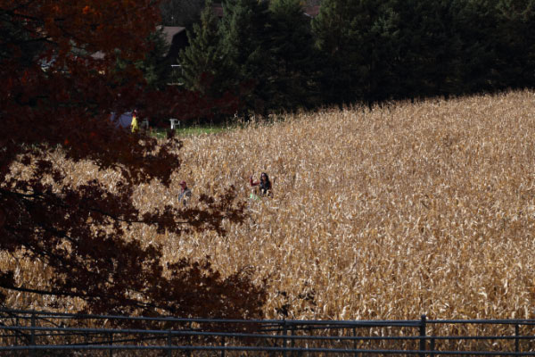 djl_20141019_5106