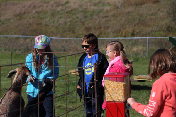 djl_20151017_7993